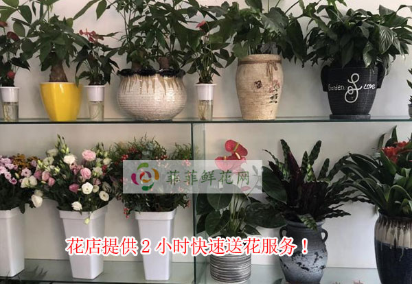 合肥庐江县花店提供合肥庐江县2小时快速送花服务
