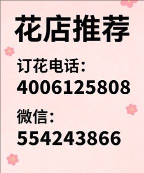 合肥庐江县花店哪家好